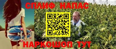 СК Малоярославец