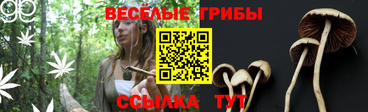 Балашиха  Галлюциногенные грибы Magic Shrooms  Вход с VPN  Галлюциногенные грибы Psilocybe 